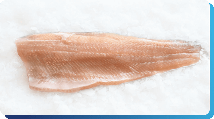 Fresh Rainbow Trout Fillet | United AquaCulture