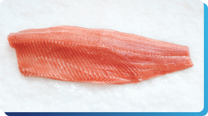 Fresh Salmon Trout Fillet | United AquaCulture